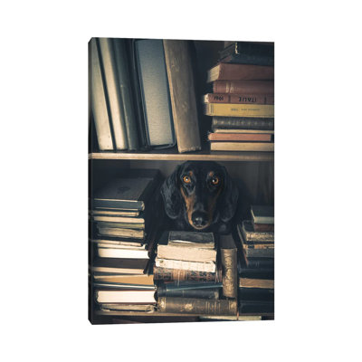 Der Kleine Bibliothekar - Little Librarian 1 Piece Wall Art on Canvas