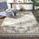 Oriental Indoor Rug