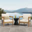 Ensemble de 2 fauteuils club Porto