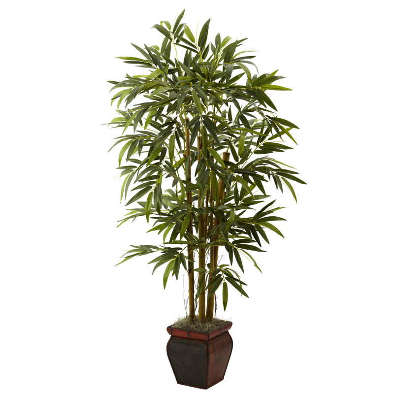 Thisbe 66'' Faux Bamboo Tree in Wood Planter