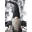 Décoration gnome noire en tissu 10 x 3 x 15,5 po avec ailes