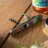AdHoc Push Pull Wine Opener Cork Screw