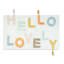 Hello Lovely 20 po x 32 po