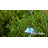 Edi-Sol 9.75'' Solar Powered Outdoor Hanging Light
