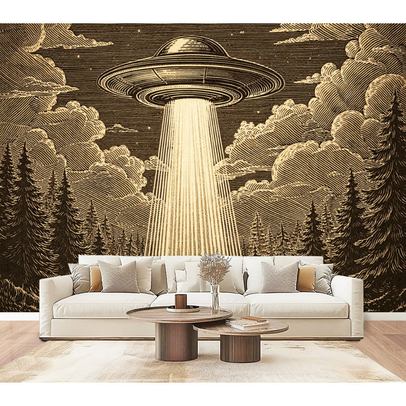 Papier peint auto-adhésif UFO Beam Forest Sunset Art, L 96 po x l 69 po