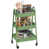 Green is out of stock