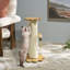 Jouet pour chat