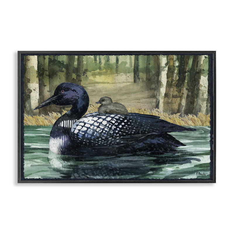 Loon avec bébé sur le lac, estampe numérique, conception de Paul Brent, H 12 po x l 18 po, Giclée encadrée noir minuit