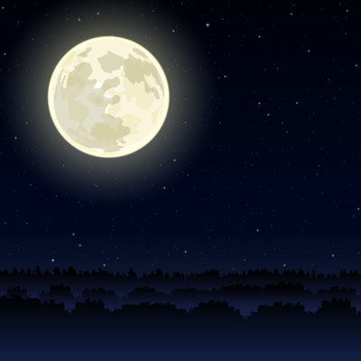 " Night Landscape "