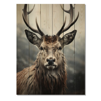 " Deer Monochrome Photography I "