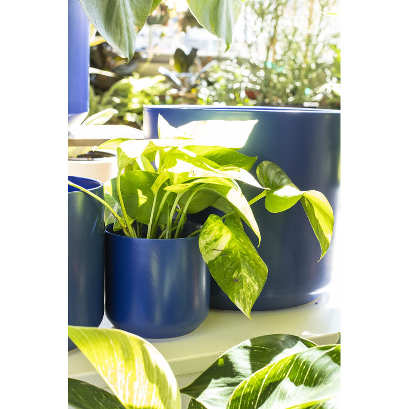 Parsons Handmade Ceramic Pot Planter, White