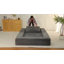 Canapé-lit pour homme et chien à compression sans assemblage-624708784
