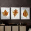 Autumn Leaf Study I - Toile tendue avec châssis sur mesure - 3 pièces-1630811662-1630811663