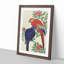 Parrots by Ohara Koson - Framed Print-55577923-55577918