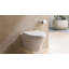 MH Dual Flush D-Shape Wall Hung Toilet with Tornado Flush