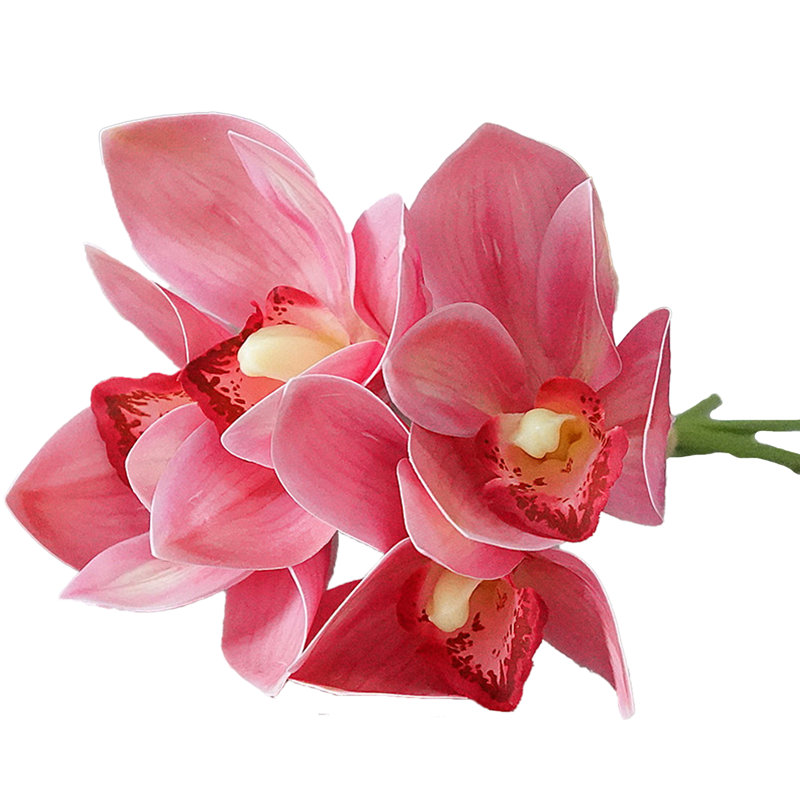 Faux Silk Orchid Arrangement, Light Powder