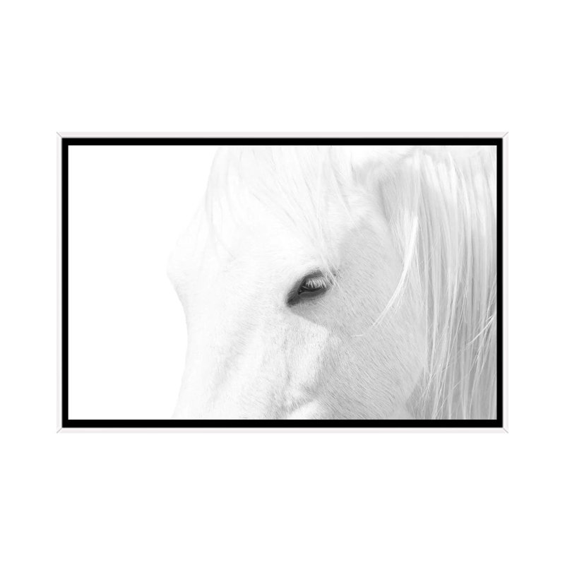 « Cheval blanc » par Marco Carmassi-impression d’art graphique, H 18 po x l 26 po x P 1,5 po, Toile blanche encadrée