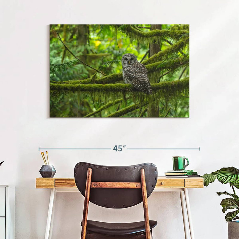 Brampt Mossy Tree Owl, 26" H x 39" W