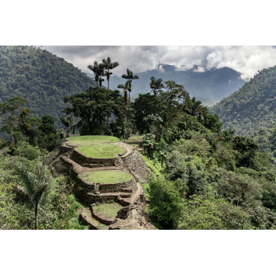 " Colombian Jungle "