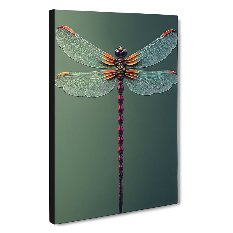 XC1022-3503X Perfect Dragonfly - Wrapped Canvas Print, 50cm H x 35cm W x 2cm D