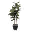 Faux Fiddle Leaf Fig Tree in Planter-2016286776