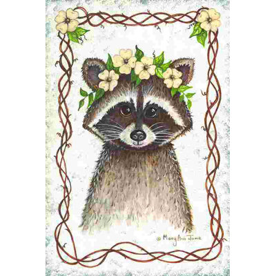 Raccoon by Mary Ann June - Wrapped Canvas Painting