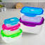 Ensemble de 5 contenants alimentaires en plastique Aracely Lock-and-Seal