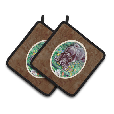 Red Barrel Studio® Polyester Potholder