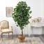 Ficus artificiel 72 po en pot