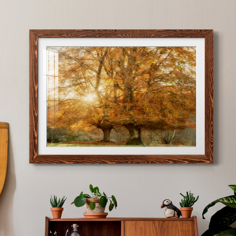 Couple of Beeches - Reproduction de photo sur papier encadrée, H 31,5 po x l 23,5 po x P 1,5 po, Papier avec cadre érable