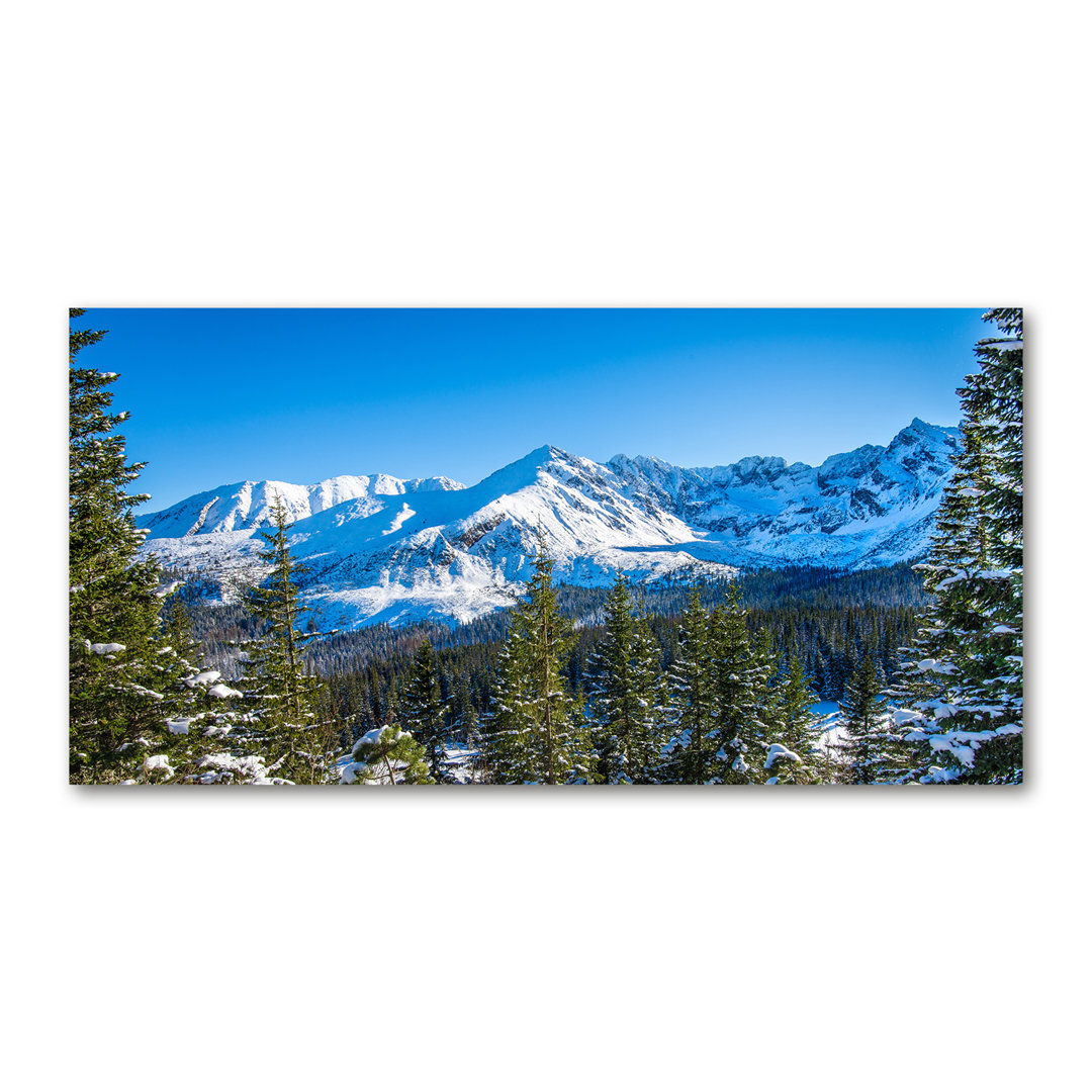 Panorama des Tatra-Gebirges - Ungerahmte Kunstdrucke auf Leinwand