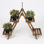 Posiedon 27.2'' H 2-Tier Wooden Plant Stand with Chalkboard, Rustic Ladder Plant Shelf