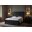 Atrium Queen Panel Bed-2112049181