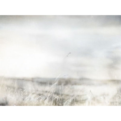 Warm Meadow II Print by Elena Carlie