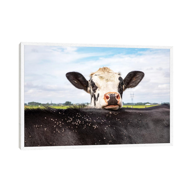Hide And Seek by Clara Bastian - Print on Canvas, White Framed, 66.04cm H x 101.6cm W x 3.81cm D