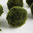 Barrientos ORBS 4" Set of 6