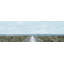 Follow Your Own Path 1 Piece Wrapped Canvas Wall Art-786603652