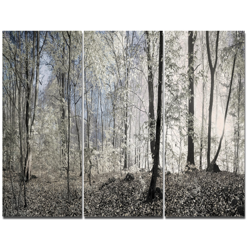 Dark Morning Forest Panorama Landscape Canvas Art Print