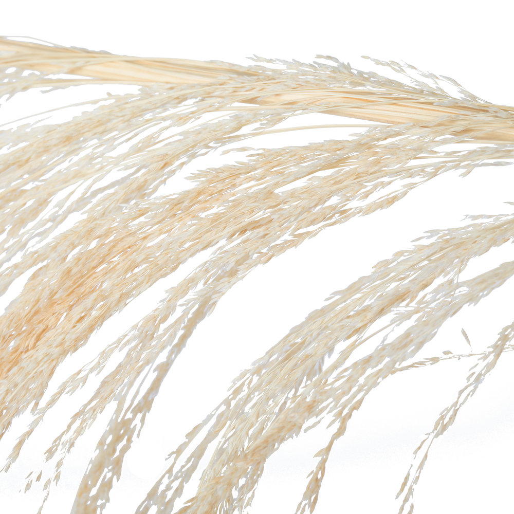 Vickerman Uva Palm Spray 71'' Palm Plant, Bleached