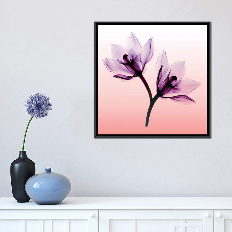 «Orchids II», impression sur toile, H 18 po x l 18 po x P 1,5 po, Toile encadrée noire, Pas de tapis