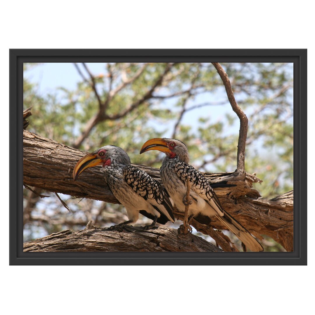 Gerahmtes Wandbild zwei Vögel auf einem Baum