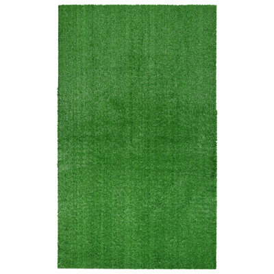 Ashkhen Indoor / Outdoor Rug
