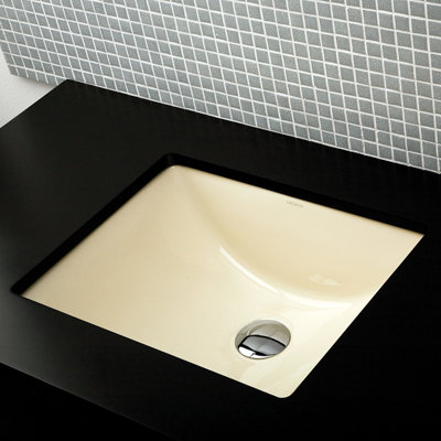 Spring 19.25'' L Bathroom Sink