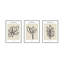 Foglio Botanica-1458085288-1458085295