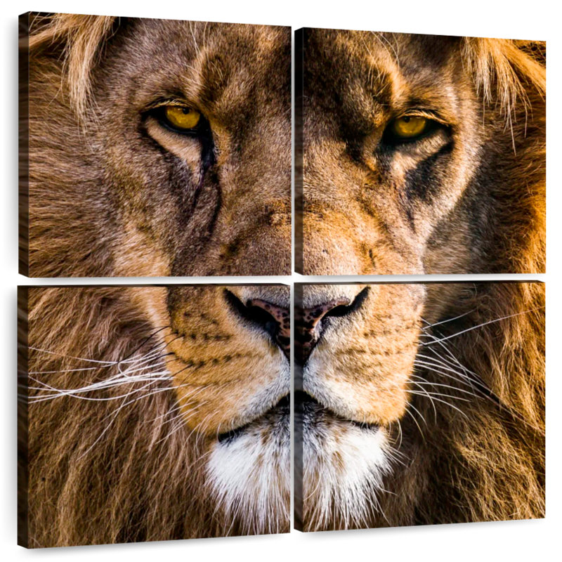 Tête de lion Brampt Regal, H 18 po x l 18 po