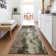 Premium Machine Washable Dahl AMF1077 Modern Rug