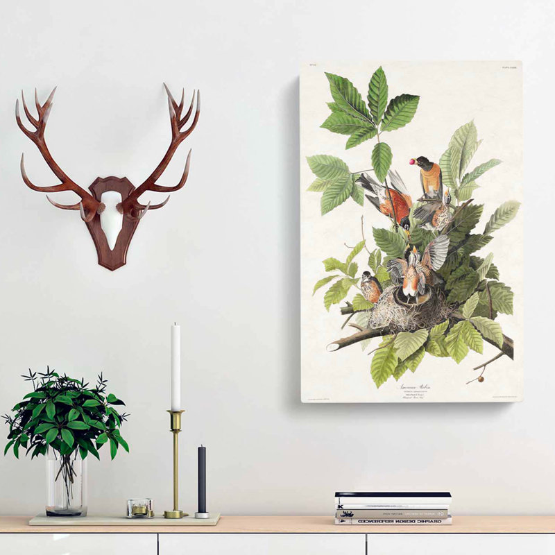 American Robins by John Audubon - Wrapped Canvas Painting, 60cm H x 40cm W x 3cm D