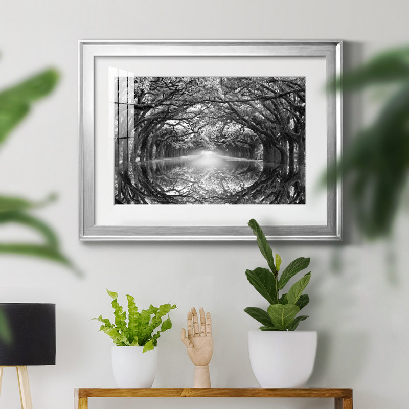 Oak Alley Reflection - photographie de cadre, H 26,5 po x l 36,5 po x P 1,5 po, Papier avec cadre argenté