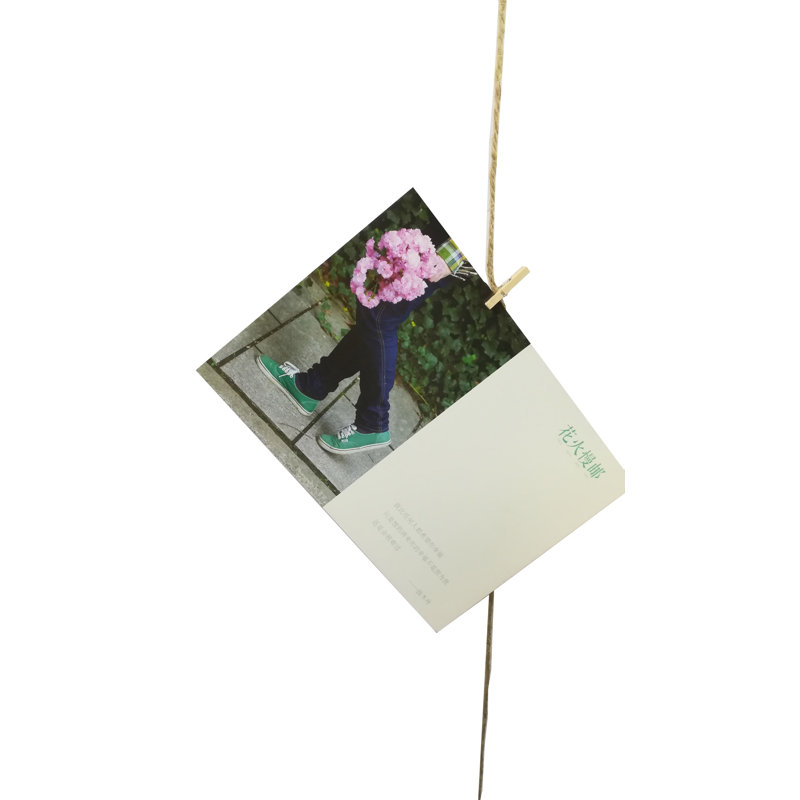 White Photo Display Diy Picture Frame Collage Set Twine Cords Wood Rail Clothpin