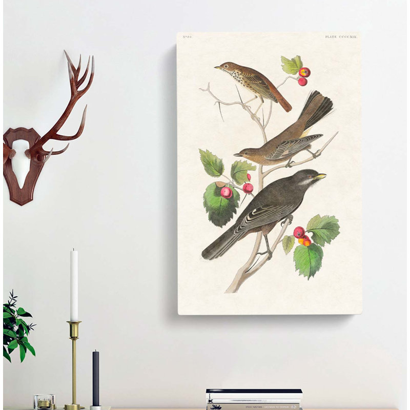 Selection Of Birds by John Audubon - Wrapped Canvas, 60cm H x 40cm W x 3cm D